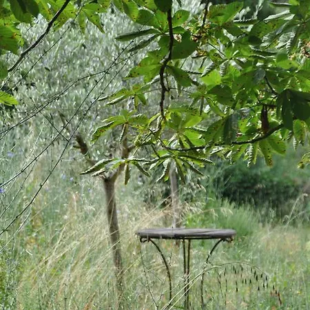 Rose En Provence Bed & Breakfast *
